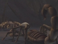 Deadly Creatures : new images