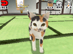 Yumeneko DS : images et vidéo