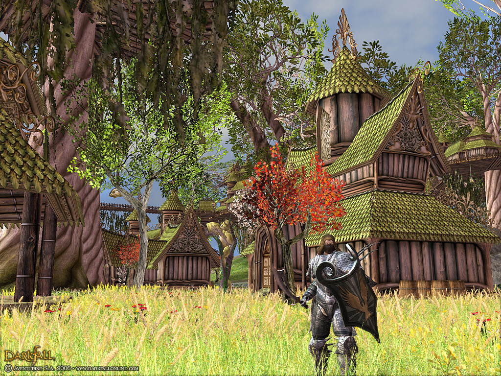 Vidéo Darkfall Online