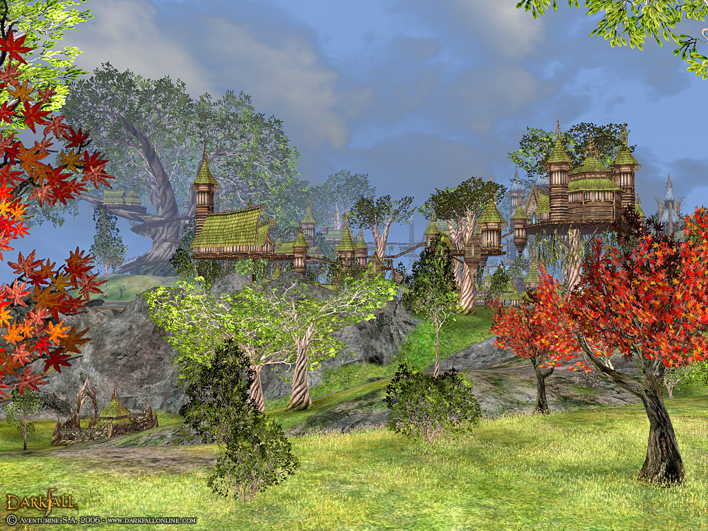 Vidéo Darkfall Online