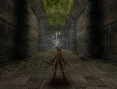 Images X-Blades