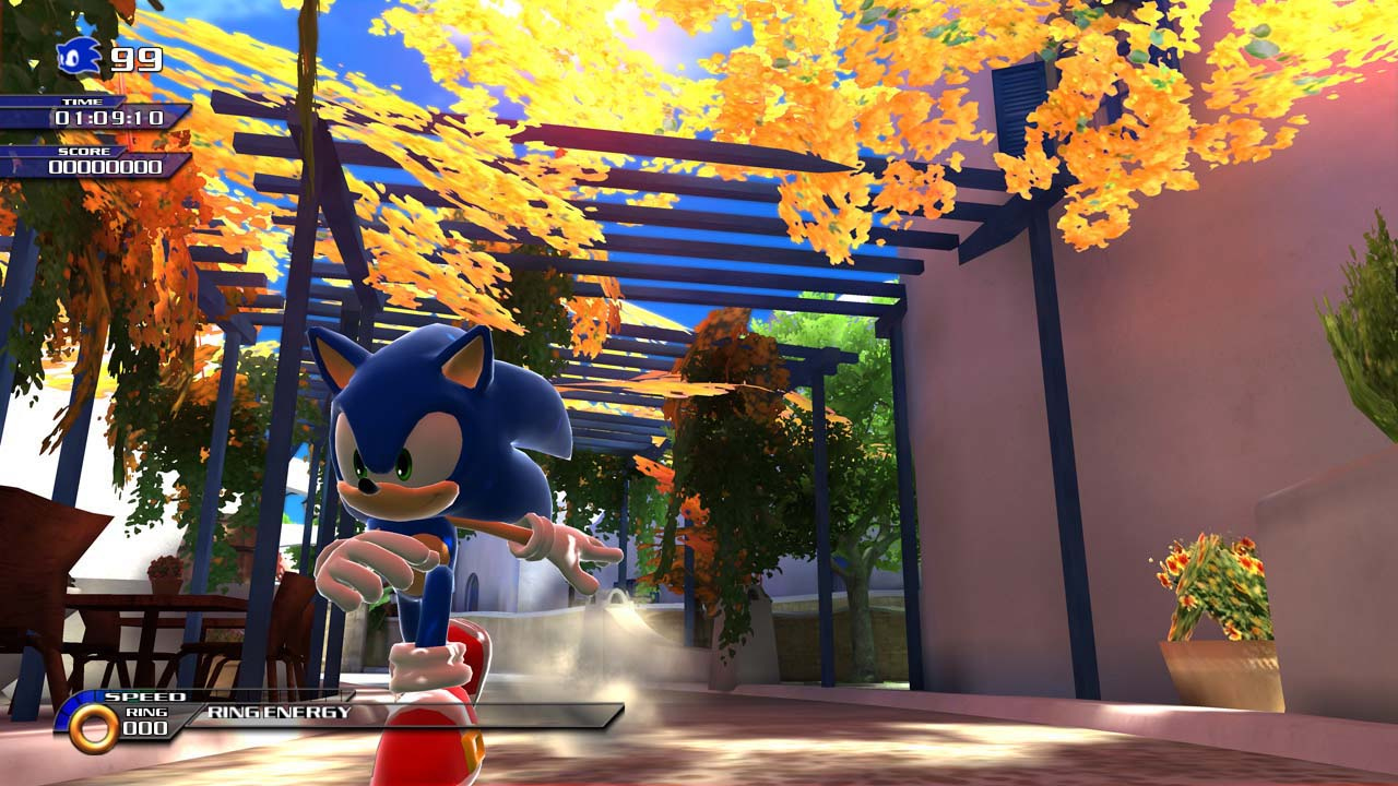Images Sonic Unleashed