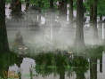 Images Dawn of Fantasy