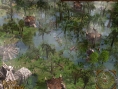 Images Dawn of Fantasy