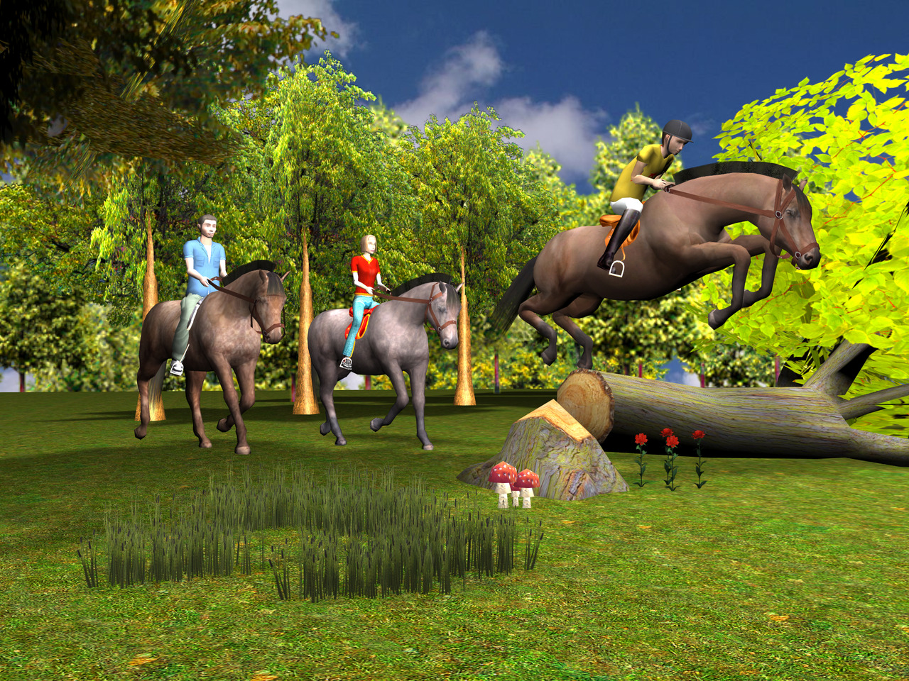 Images Cheval & Poney