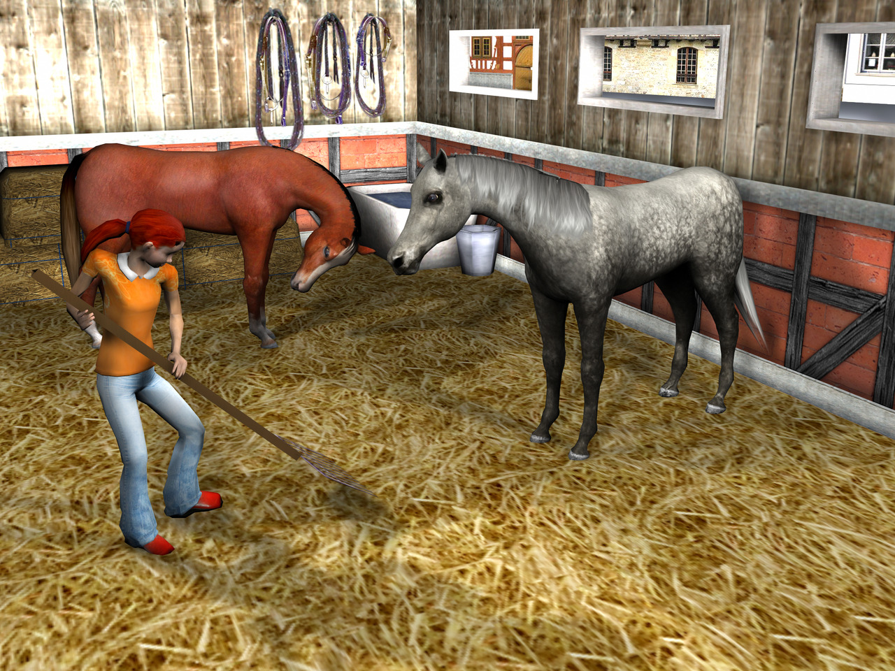 Images Cheval & Poney