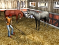 Images Cheval & Poney