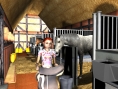 Images Cheval & Poney