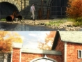 Images Undercover