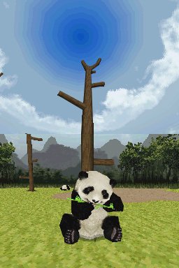 Panda annoncé sur Nintendo DS