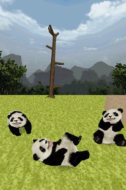 Panda annoncé sur Nintendo DS
