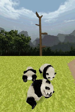 Panda annoncé sur Nintendo DS