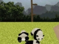 Panda annoncé sur Nintendo DS