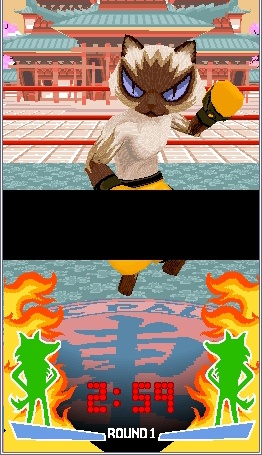 Images Animal Boxing