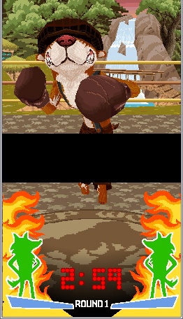 Images Animal Boxing