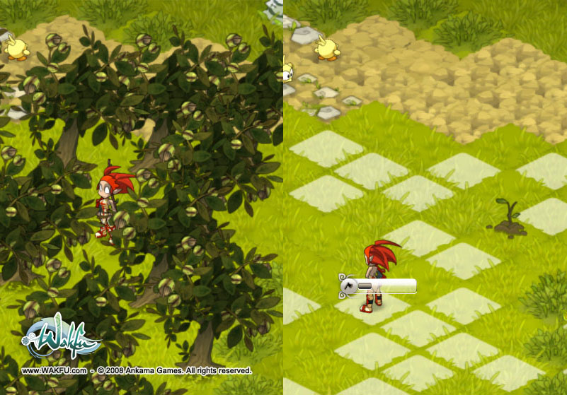 Images Wakfu