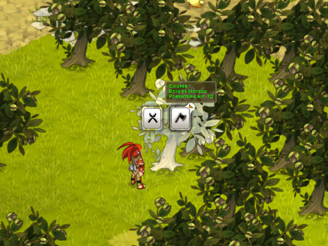 Images Wakfu