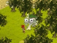 Images Wakfu