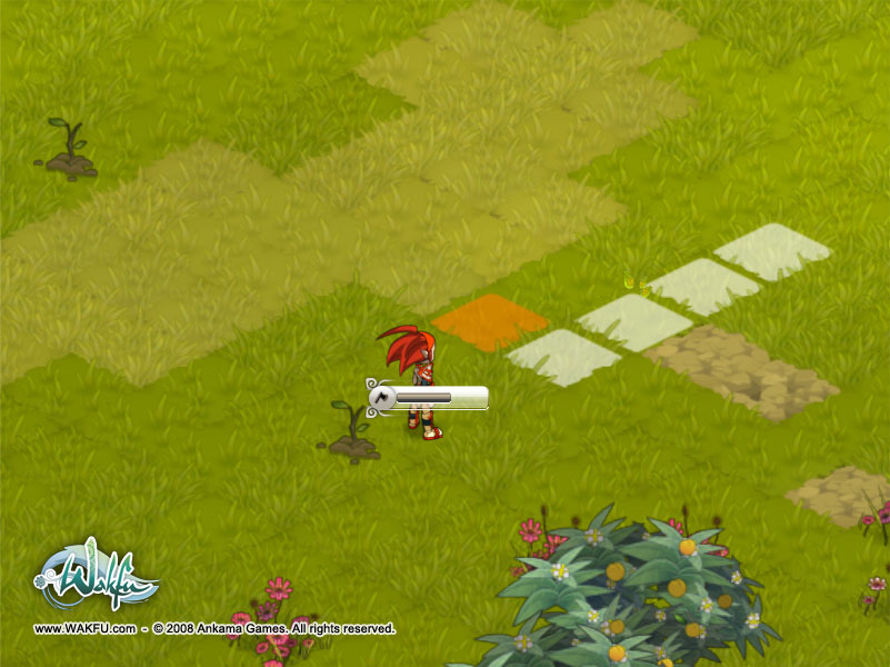 Images Wakfu