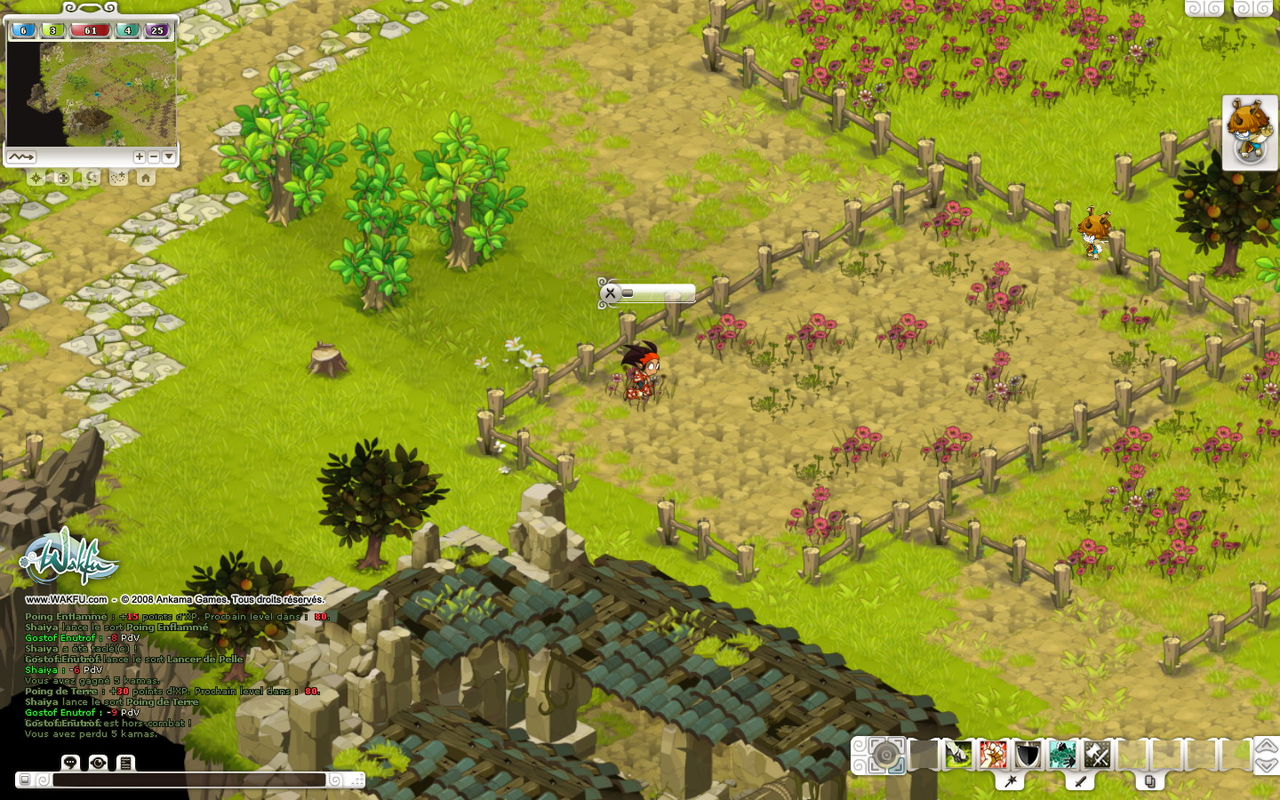 Images Wakfu