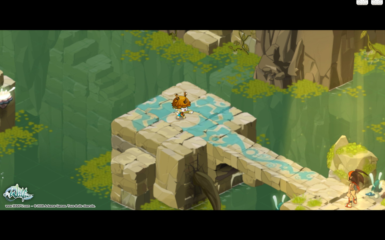 Images Wakfu