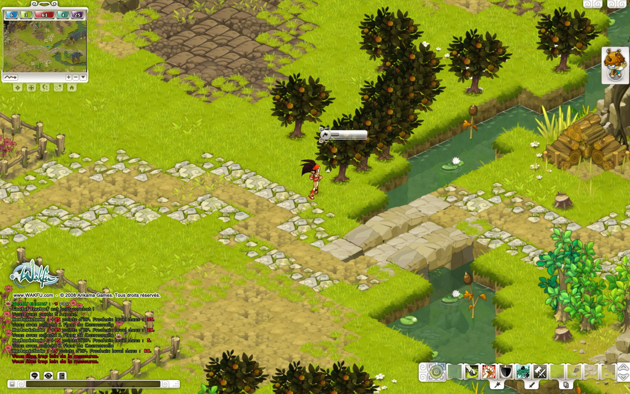 Images Wakfu