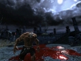 Some details on Splatterhouse