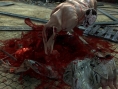 Splatterhouse : des images qui tachent