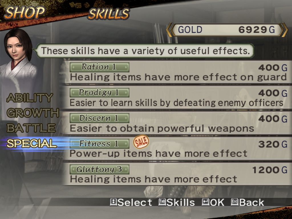 Samurai Warriors 2 sur PC