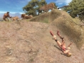 Encore du retard pour DOA Ultimate