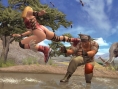 Dead or Alive Ultimate est or