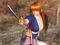 Dead or Alive Ultimate est or