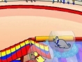 Vidéo Intervilles