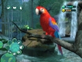Zoo Hospital annoncé