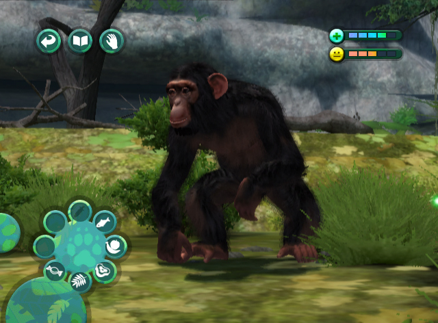 Zoo Hospital annoncé