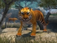 Zoo Hospital annoncé