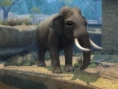 Zoo Hospital annoncé