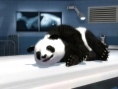 Zoo Hospital annoncé