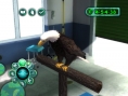Zoo Hospital annoncé