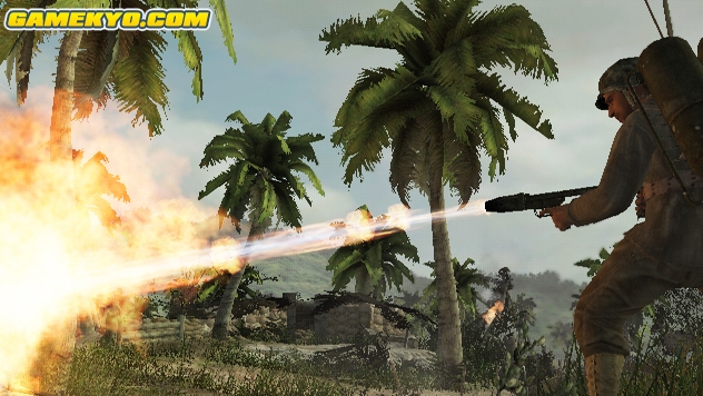 Call of Duty 5 Wii : new images