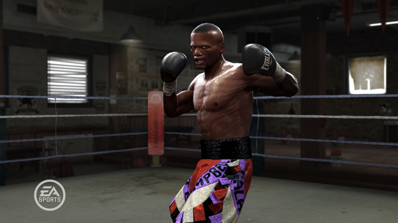 Fight Night Round 4 : illustrated
