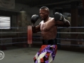 Fight Night Round 4 : les forces en présence