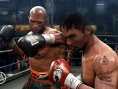 Fight Night Round 4 : les forces en présence