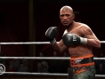 Fight Night Round 4 : les forces en présence