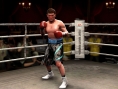 Fight Night Round 4 : les forces en présence