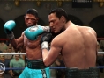 Fight Night Round 4 : les forces en présence