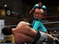 Fight Night Round 4 : les forces en présence