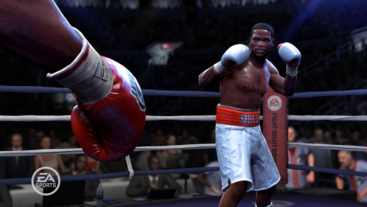 Fight Night Round 4 : illustrated
