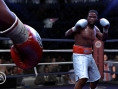 Fight Night Round 4 : les forces en présence