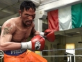 Fight Night Round 4 : les forces en présence